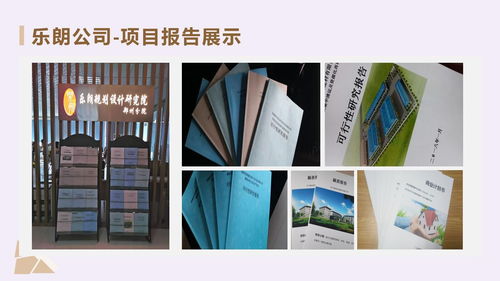 東興代做計(jì)劃書(shū)的公司策劃案例 信息咨詢服務(wù)全流程剖析