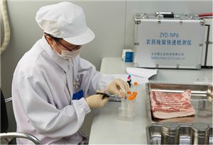 咨詢策劃服務(wù)的精準(zhǔn)供應(yīng) 如何在youbian.com找到優(yōu)質(zhì)信息資源