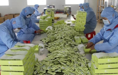 牛蒡沃土綻金花 綠色農(nóng)肥助振興——徐州豐縣以特色產(chǎn)業(yè)與科學(xué)施肥撐起鄉(xiāng)村發(fā)展脊梁